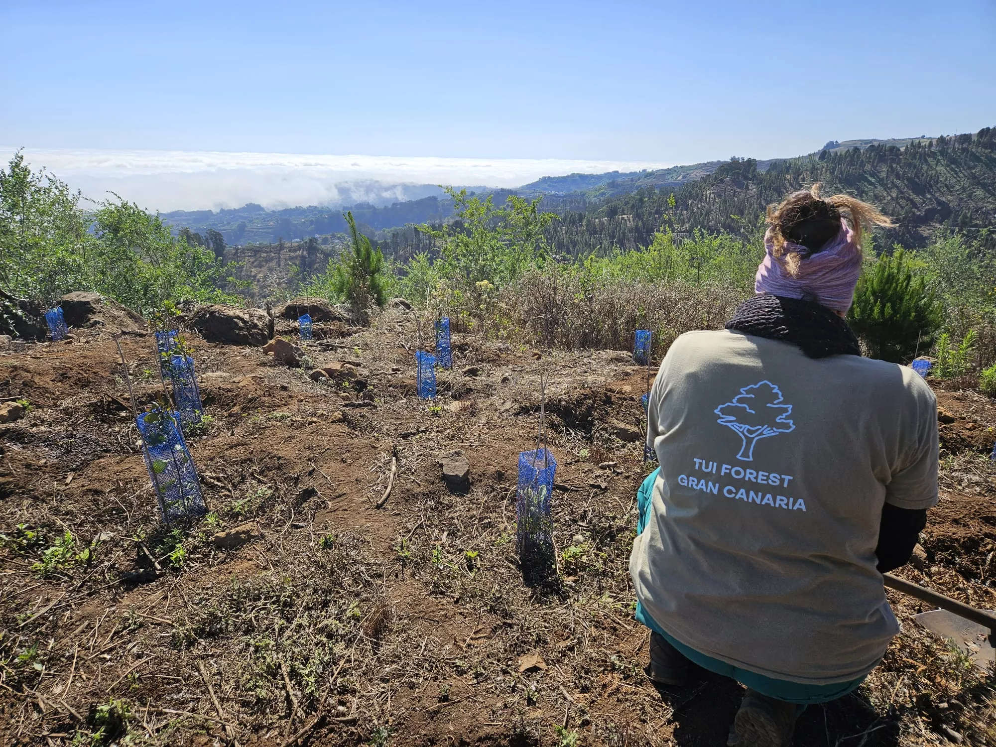 Una voluntaria trabaja en el Bosque TUI Forest Gran Canaria. / AH