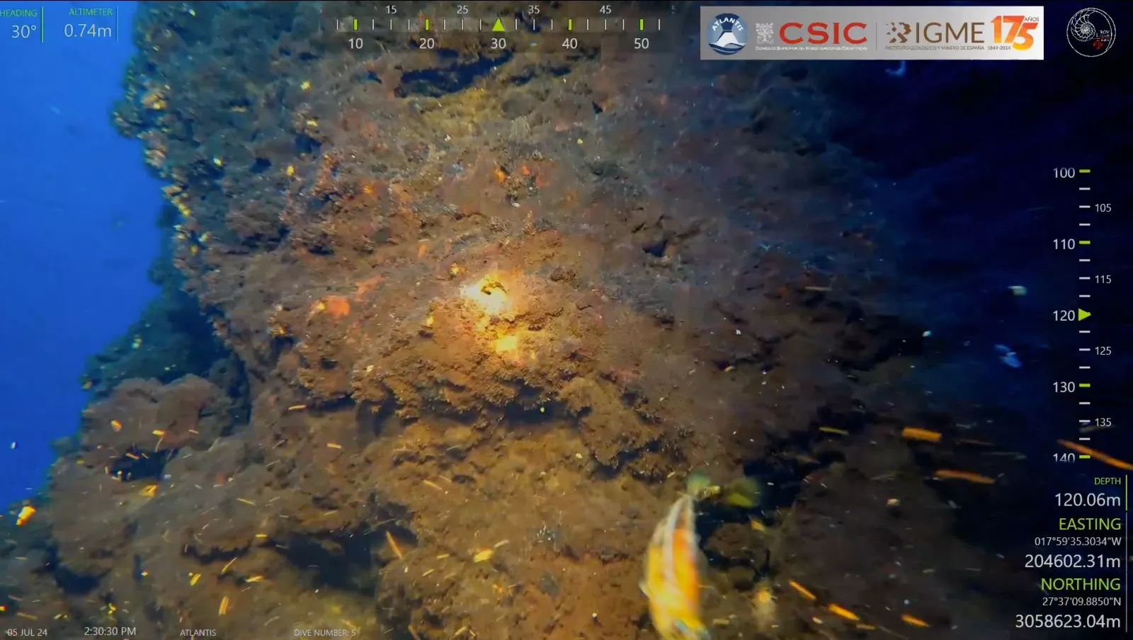 Imagen captada por el CSIC del nuevo monte submarino descubierto en Canarias./ 
