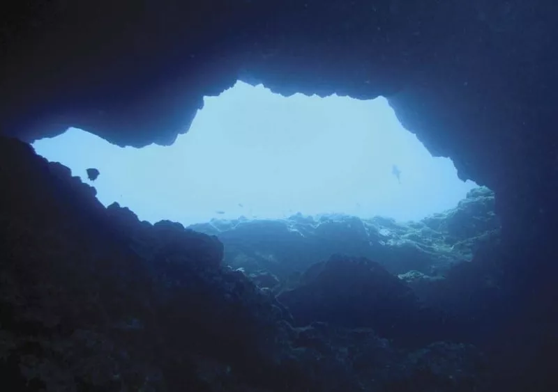 Reserva marina de La Palma./ 