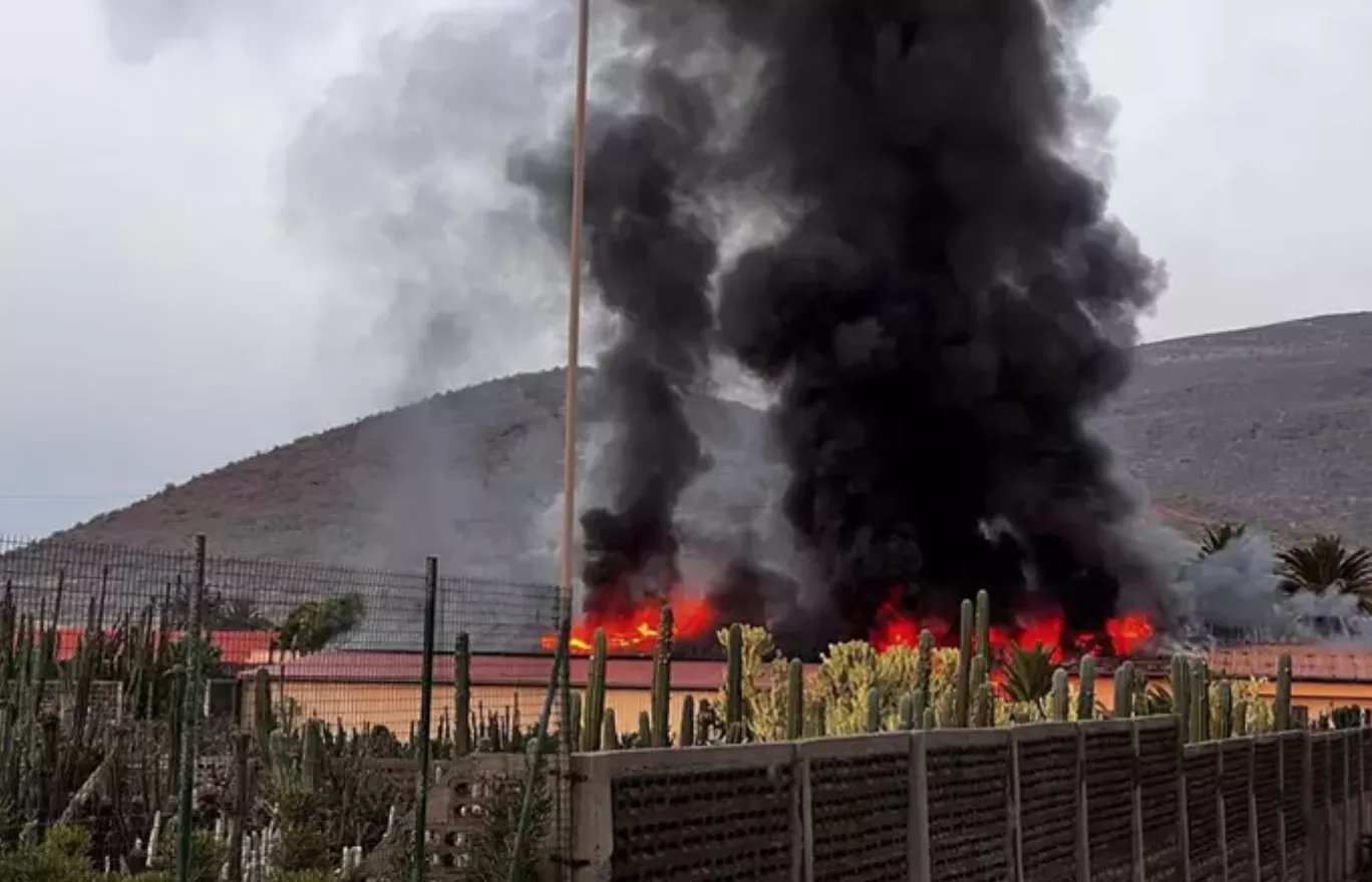 Incendio en un vivero de Güímar./ CEDIDA