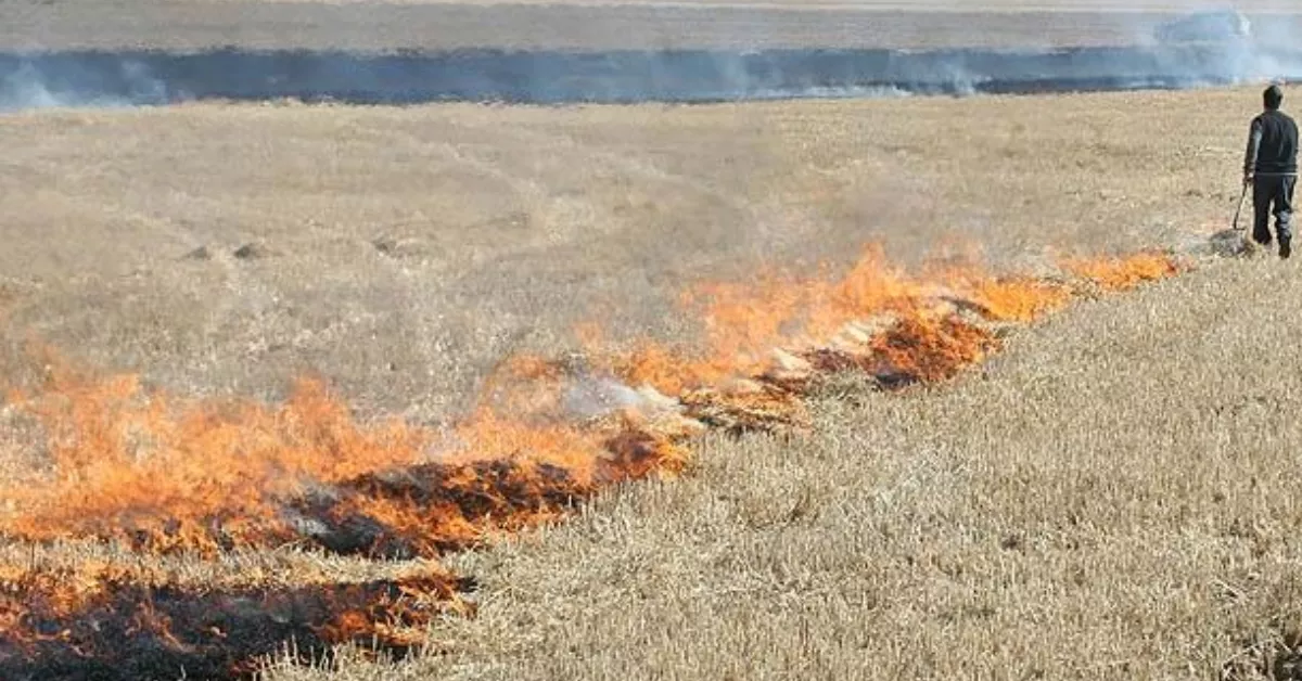 Quema de rastrojos / PEXELS Quema de rastrojos / PEXELS