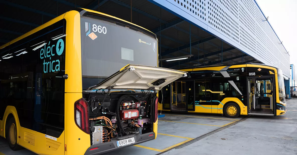 Imagen de vehículos de Guaguas Municipales / GUAGUAS MUNICIPALES