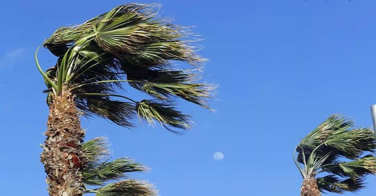 Imagen de viento en Canarias./  EFE