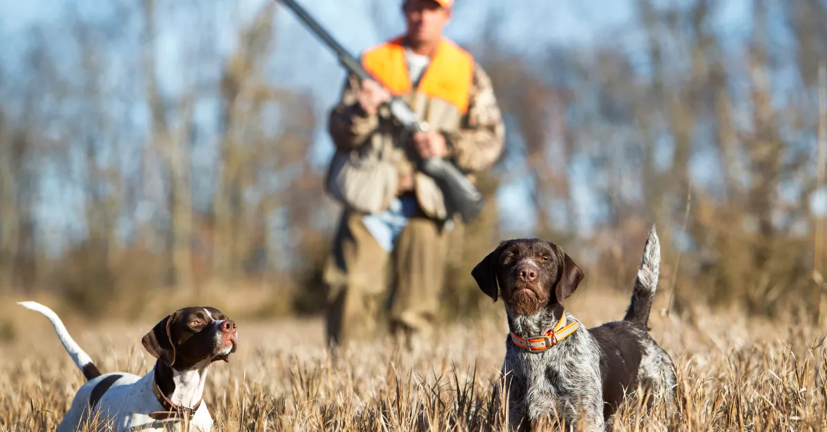 Imagen de una persona de caza / AH