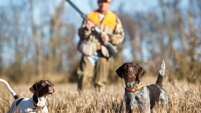 Imagen de una persona de caza / AH Imagen de una persona de caza / AH