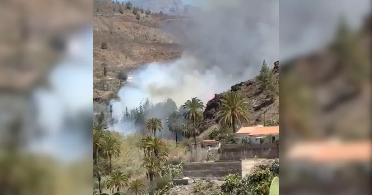 Imagen del conato de incendio en Fataga / REDES