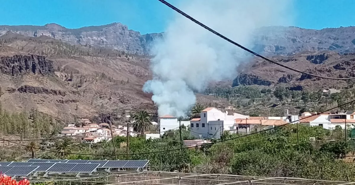 Imagen del incendio en Fataga / REDES