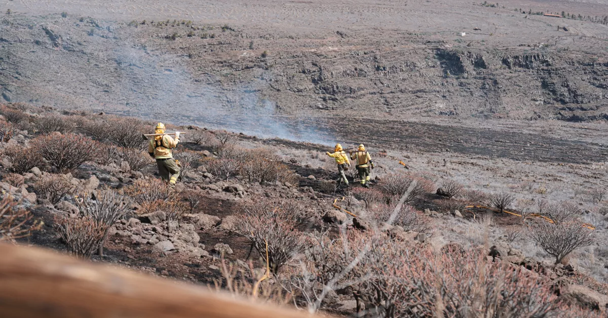 Equipo de extinción de incendios en una actuación en La Gomera. / CEDIDA