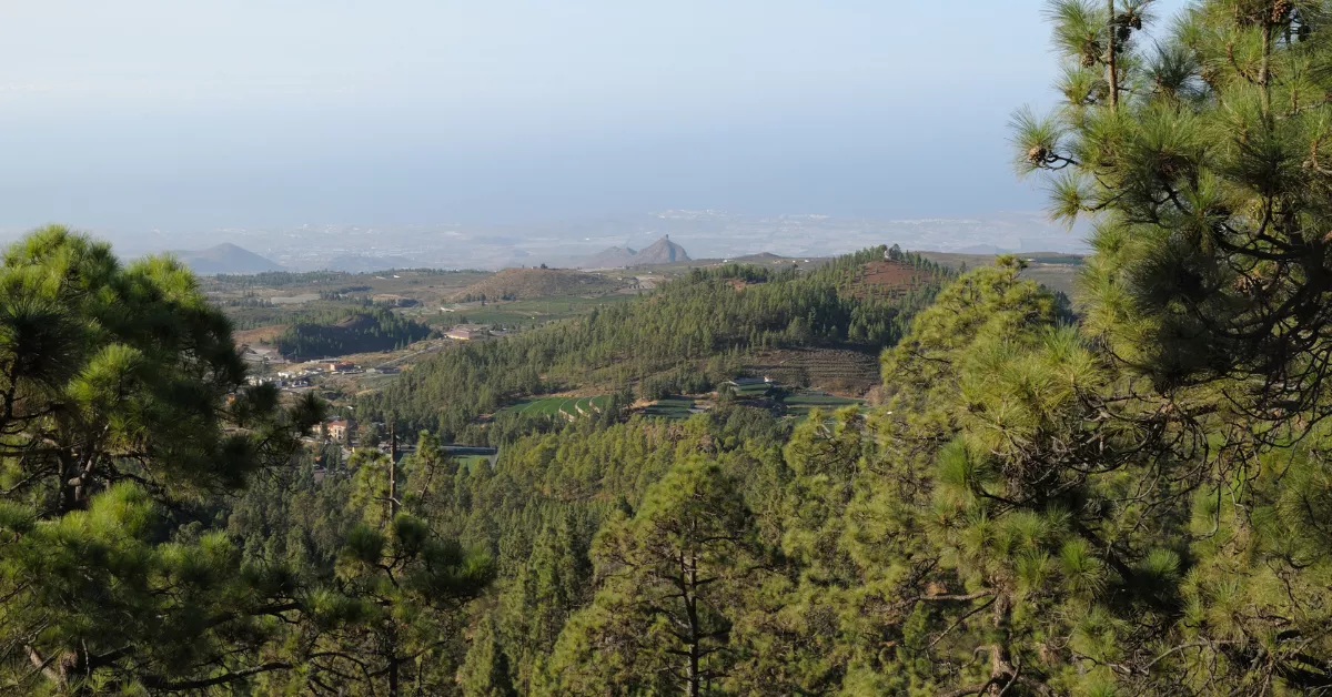 Cumbre de la isla de Tenerife, que está en prealerta. CANVA Cumbre de la isla de Tenerife, que está en prealerta. CANVA