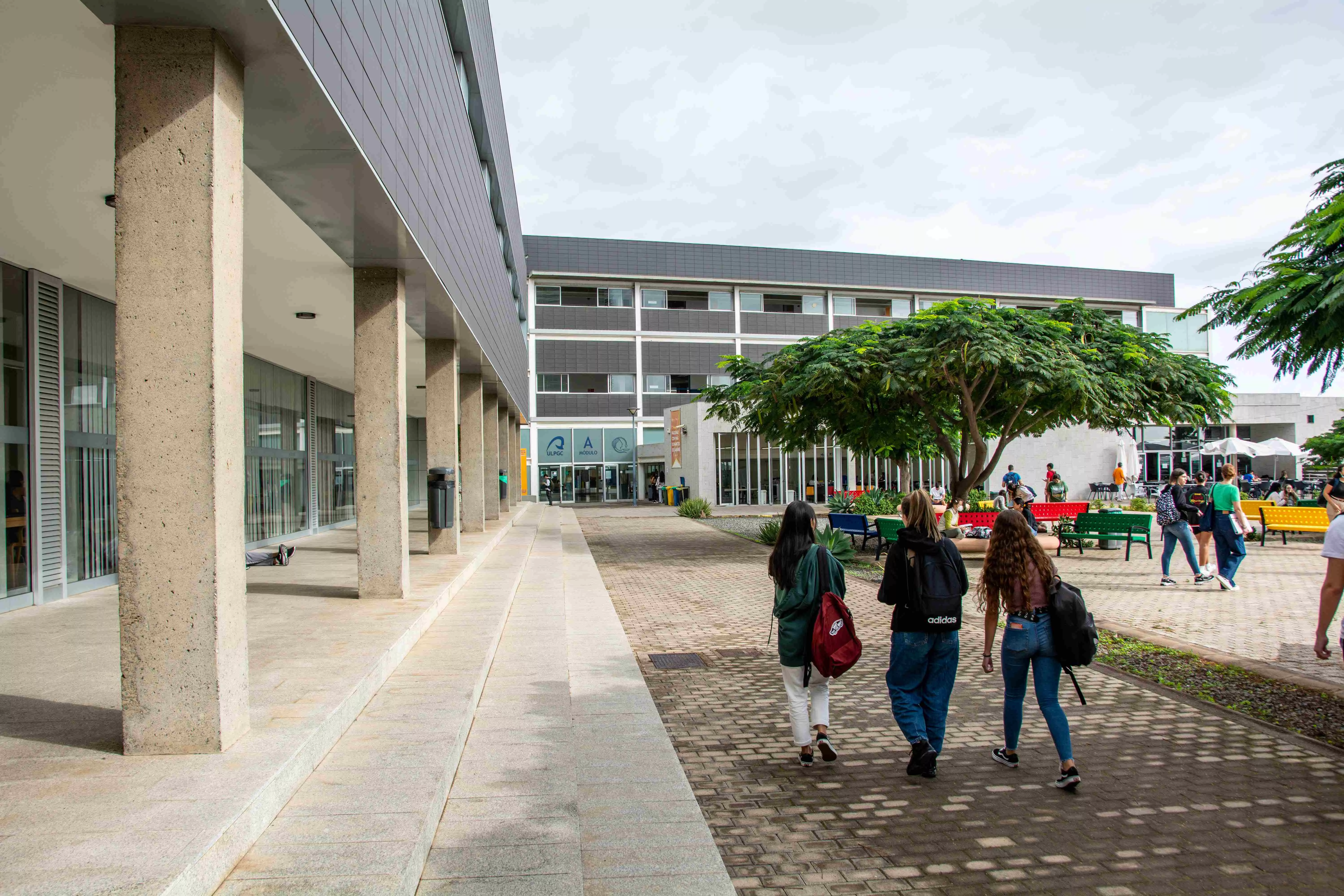 Estudiantes pasean por la facultad de Ciencias de la Salud de la ULPGC / CEDIDA