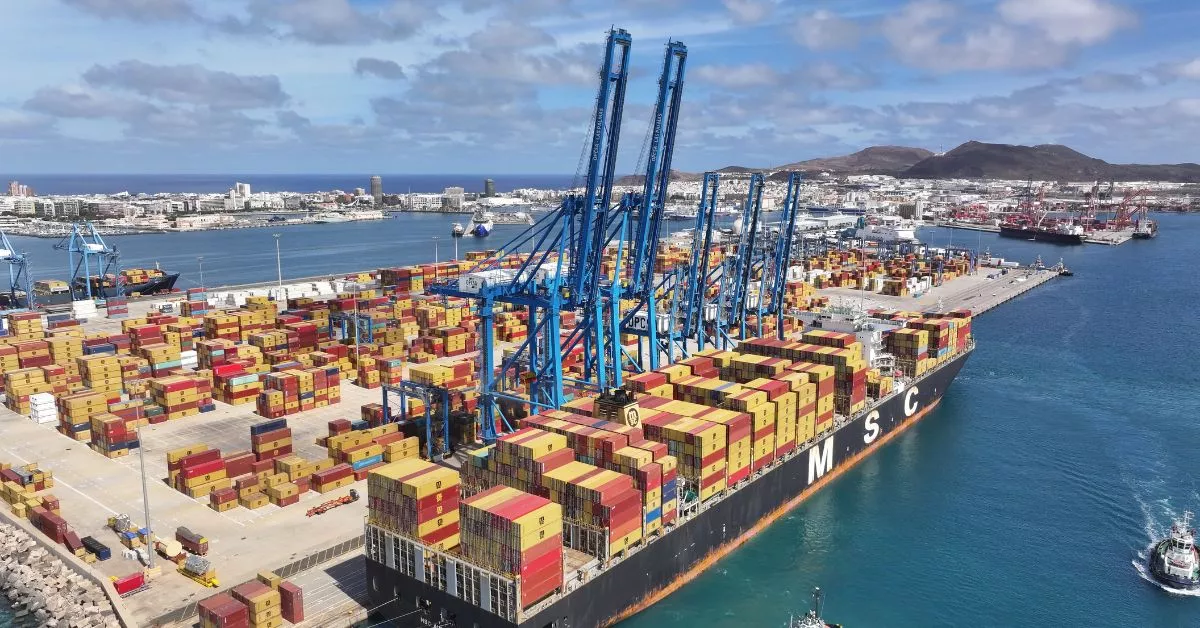 Panorámica del Puerto de Las Palmas y de la ciudad desde la terminal de contenedores de Opcsa. / AH 