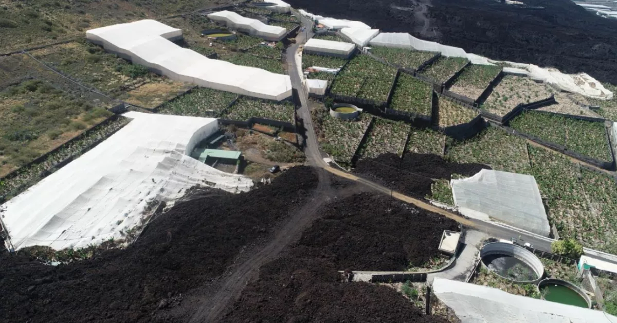 Imagen del proyecto de carretera de la costa en La Palma. / GOBIERNO DE ESPAÑA