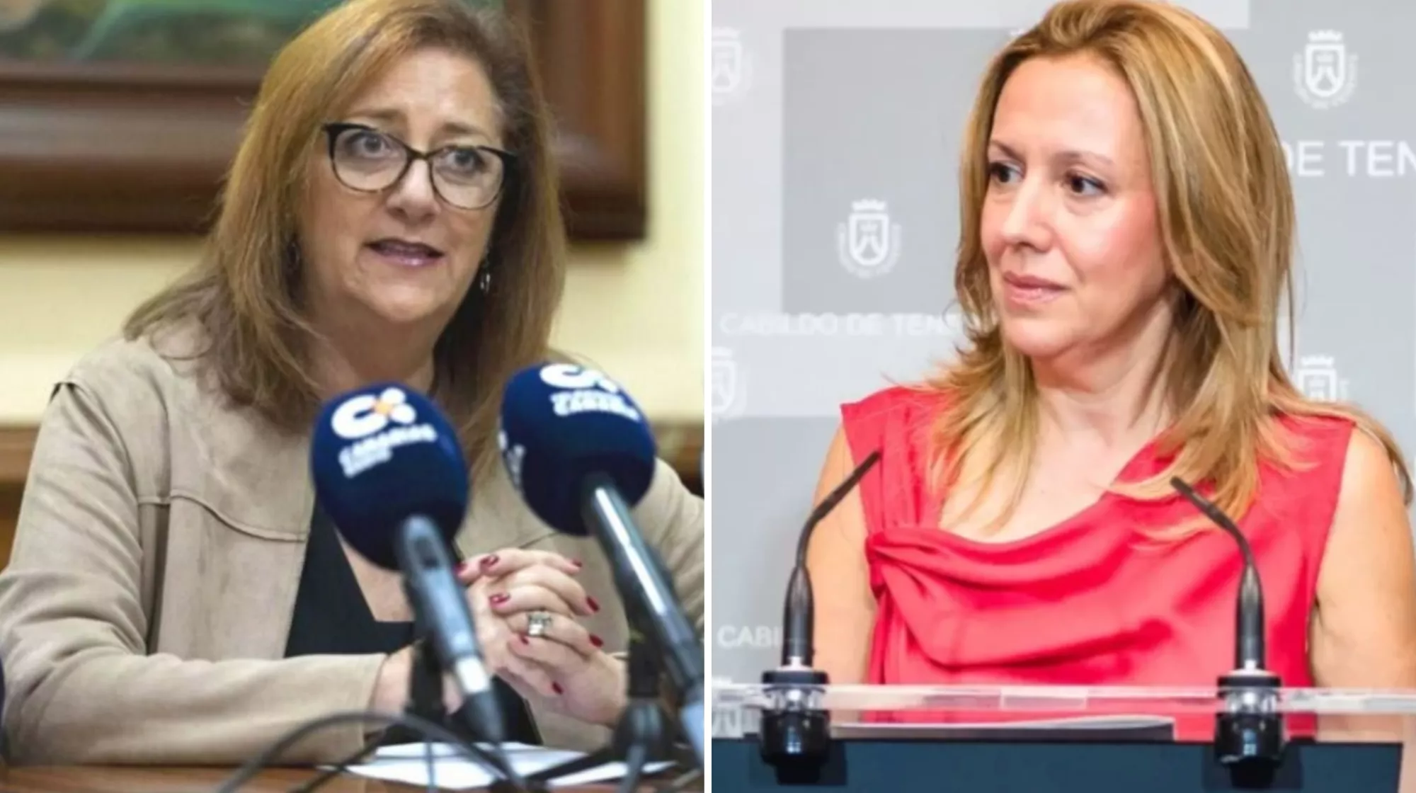 La presidente de ASCAV, Doris Borrego, y la presidenta del Cabildo de Tenerife, Rosa Dávila./