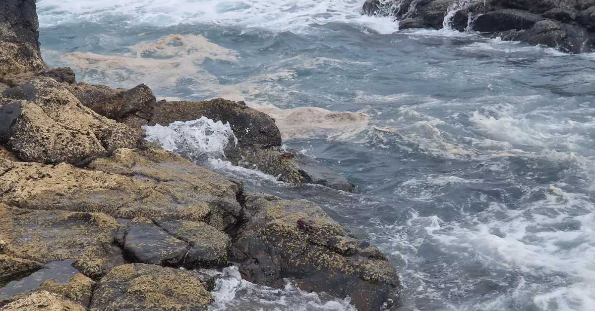 Imagen del vertido llegando a Telde / AYUNTAMIENTO DE TELDE Imagen del vertido llegando a Telde / AYUNTAMIENTO DE TELDE