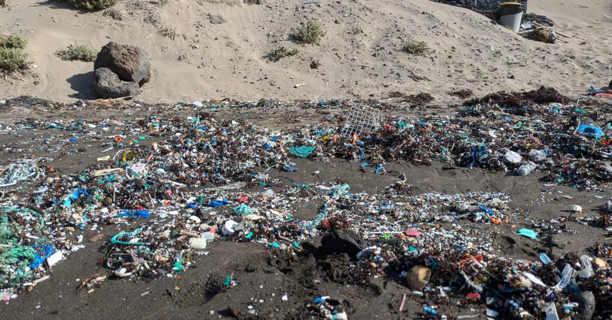 Microplásticos en Playa Grande, en el municipio tinerfeño de Arico / CEDIDA