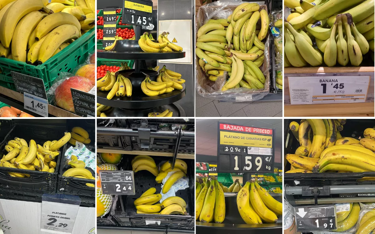 Fraude millonario: investigan a empresa alicantina por vender bananas como plátano de Canarias. / AH