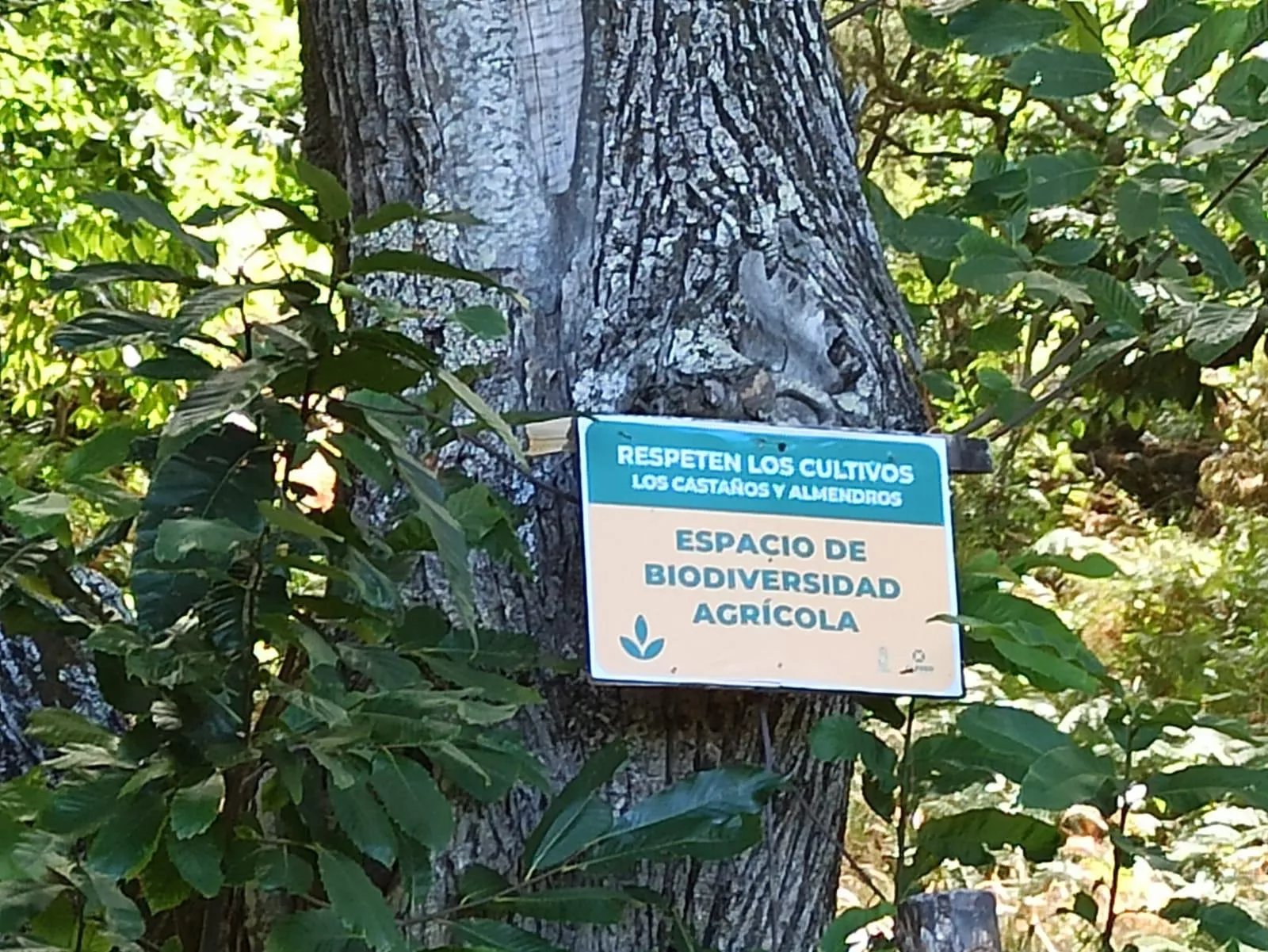 Cartel en el que se pide respeto por los cultivos en La Palma. / CEDIDA