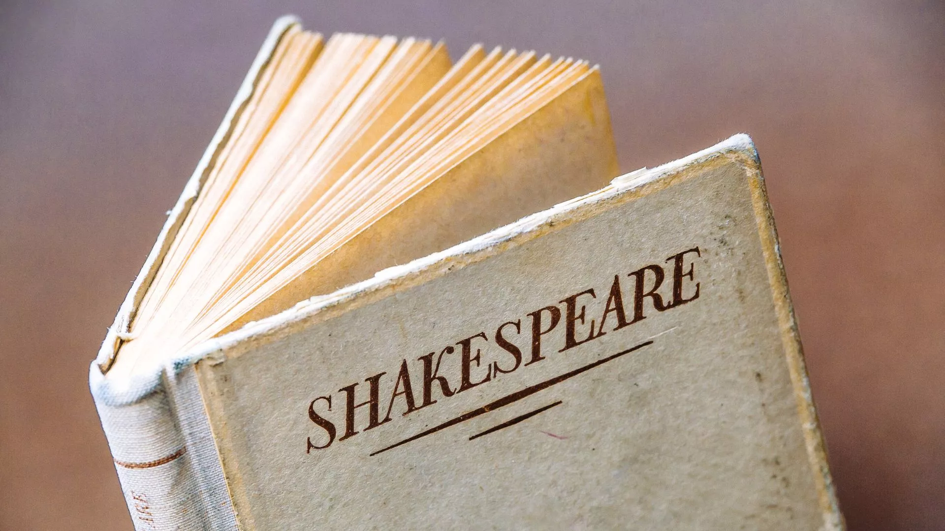 Imagen de archivo un libro de Shakespeare / Canva