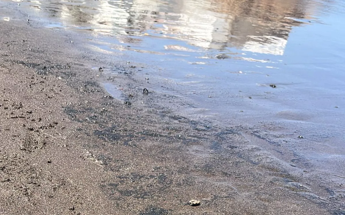 Restos del vertido en Playa del Hombre, Telde. / AH