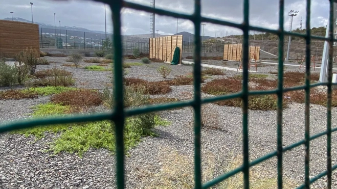 Zona llena de matojos. / AH Zona llena de matojos. / AH