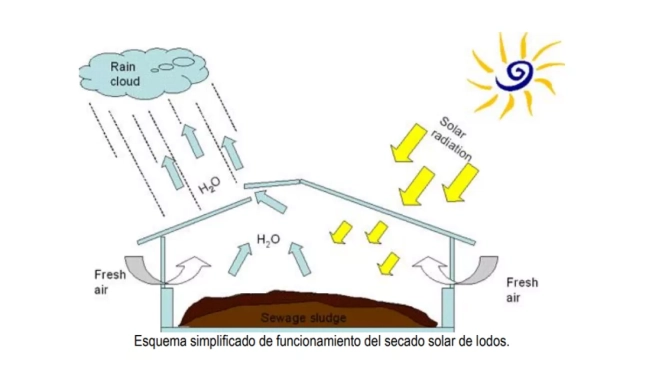 Esquema de la planta de secado de lodos