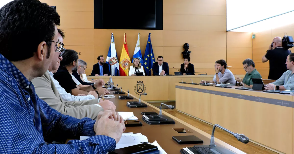 Pleno del Cabildo de Tenerife presidido por Rosa Dávila. / CARLA DOMÍNGUEZ-EFE
