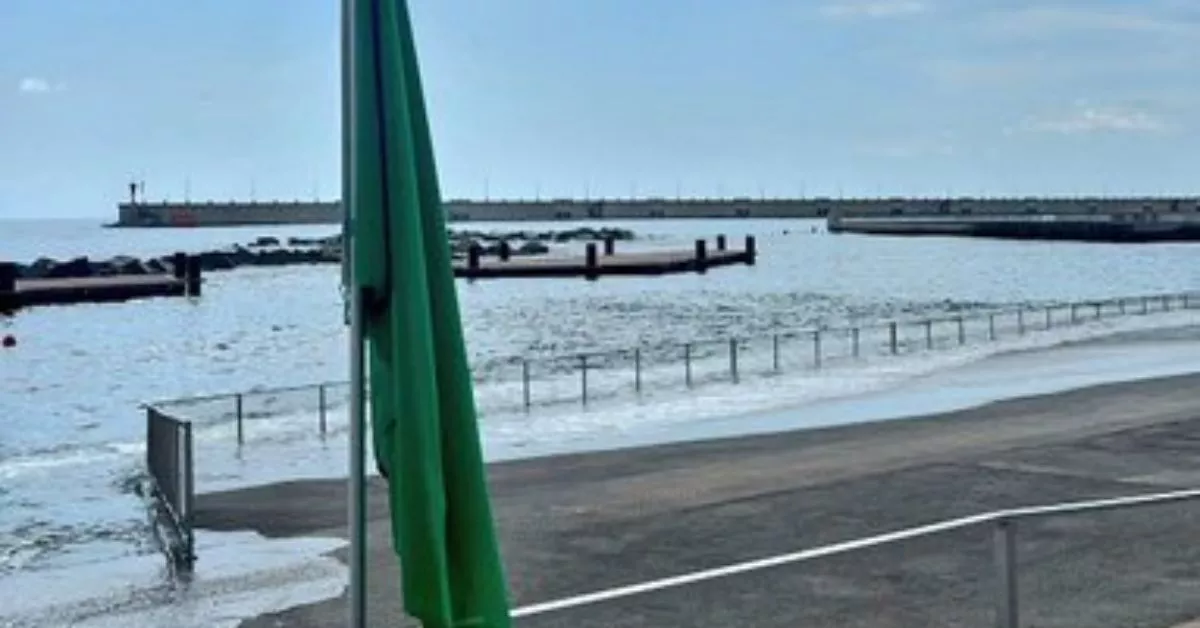Bandera verde en la zona de Los Charcos, en Valleseco / CEDIDA