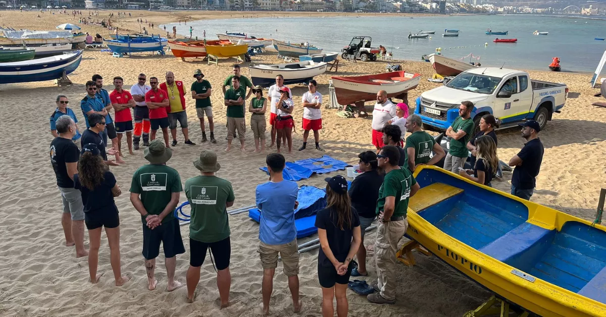 Jornada de formación para utilizar el nuevo equipo de rescate de cetáceos varados / CABILDO DE GRAN CANARIA