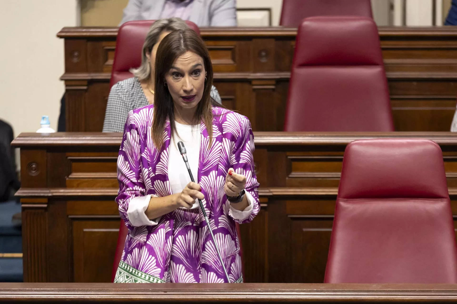 La presidenta del grupo Socialista (PSOE), Nira Fierro./ EFE