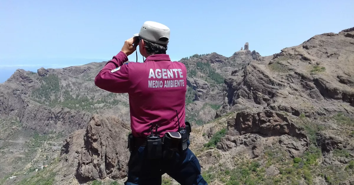 Un agente de Medio Ambiente del Gobierno de Canarias./ @AFMACANCanarias