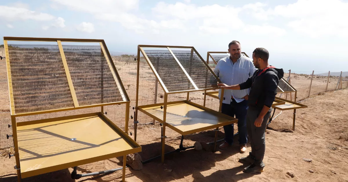 Colocación de los captadores de niebla en distintos puntos de la isla / CABILDO DE LANZAROTE