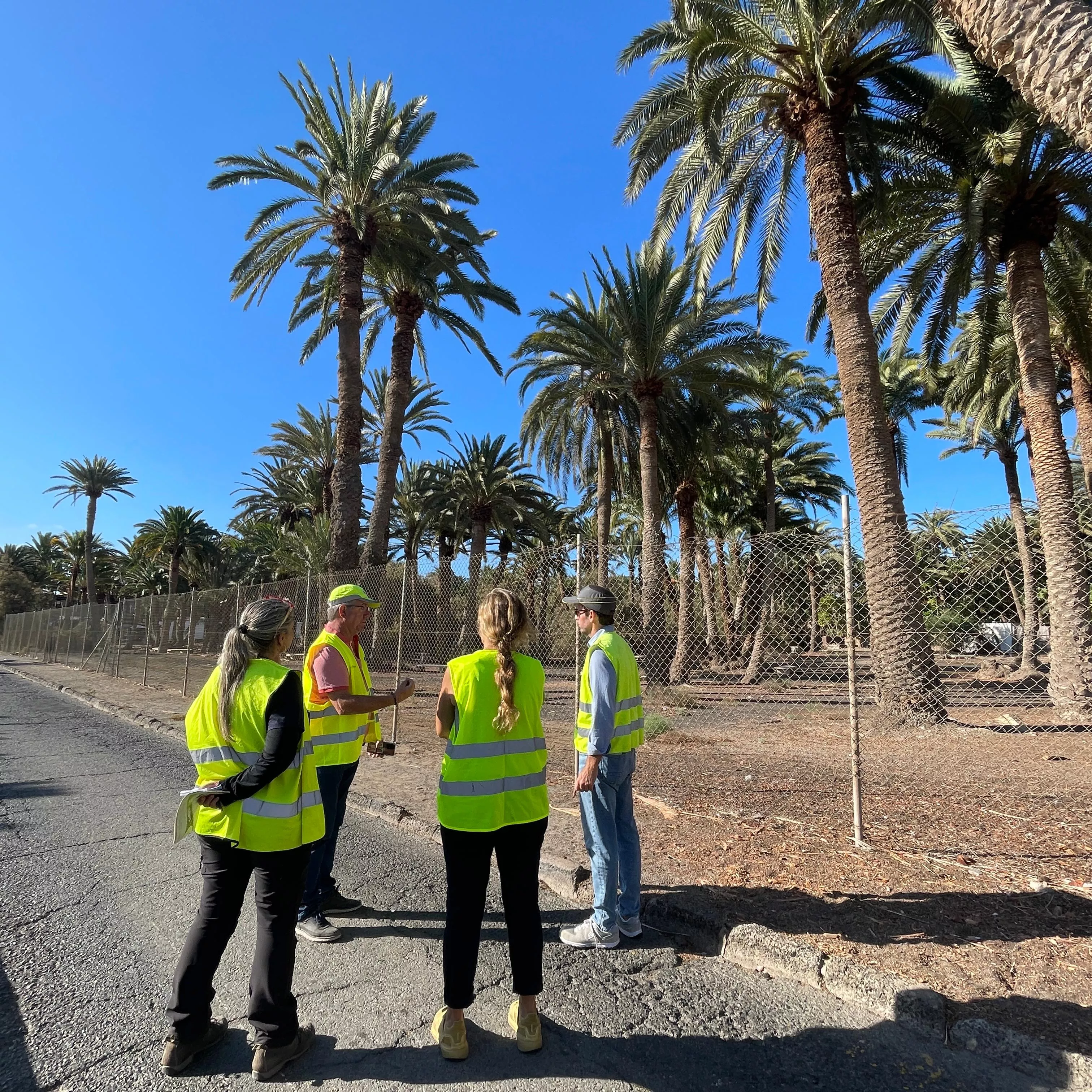 Los técnicos supervisan el Oasis Palmeral. / CEDIDA