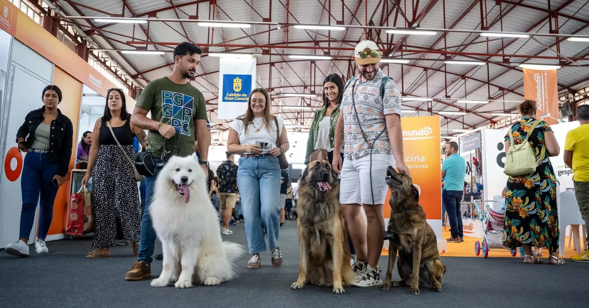 Humanos y peludos se han congregado en Animundo este fin de semana / CABILDO DE GRAN CANARIA