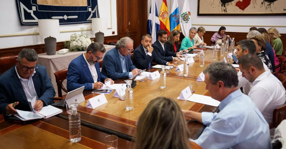 Los alcaldes de Santa Cruz de Tenerife, José Manuel Bermúdez, y Pollença (Mallorca), Martí Xavier March, presiden la reunión la Comisión de Turismo de la FEMP. EFE/Ramón de la Rocha