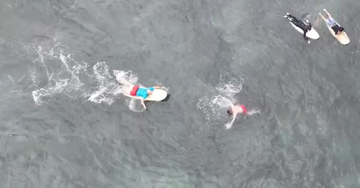 Imagen de un rescate de ahogamiento por un surfista. / CANARIAS 1500 KM DE COSTA