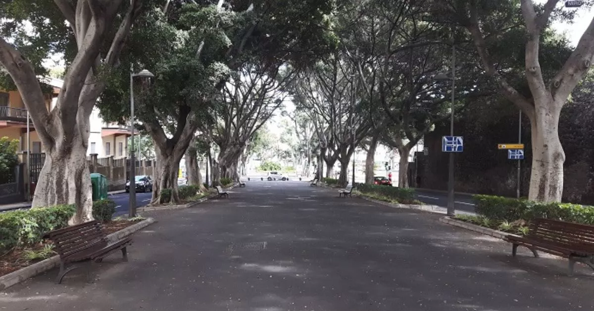 Zona baja de la Rambla de Santa Cruz/ ARCHIVO