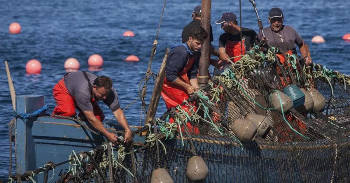 Pescadores / EFE - ROMÁN RÍOS