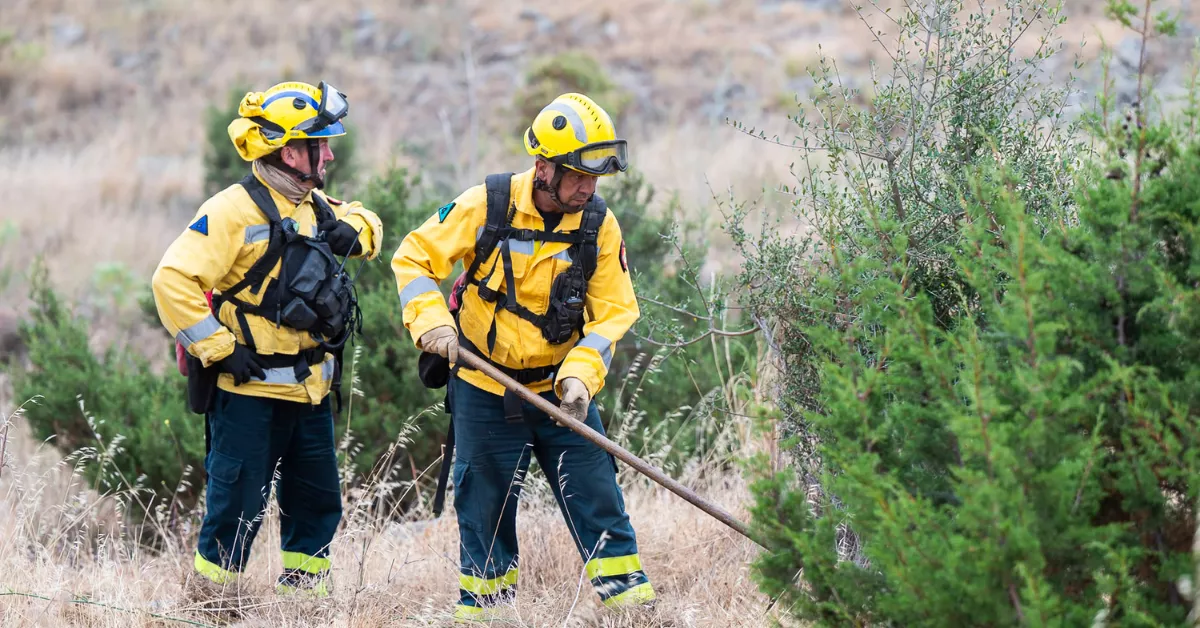 Bomberos realizando las quemas prescritas para prevenir incendios / CABILDO DE GRAN CANARIA