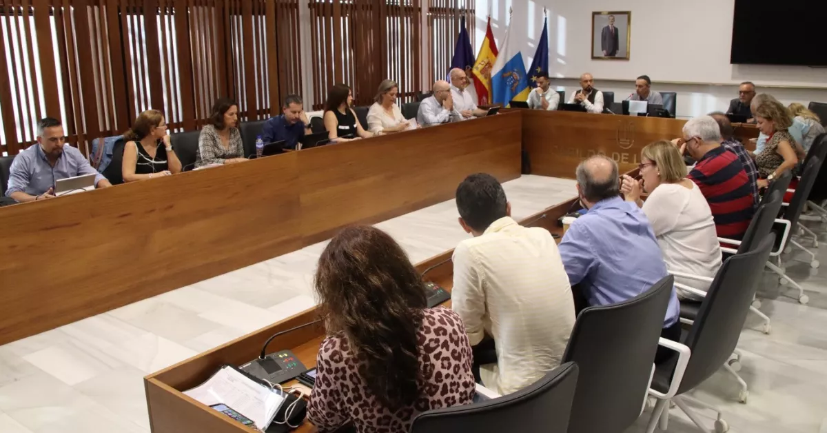 Reunión de gerentes de hospitales en La Palma./ CEDIDA