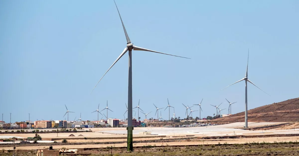 Imagen de molinos en Canarias / EFE
