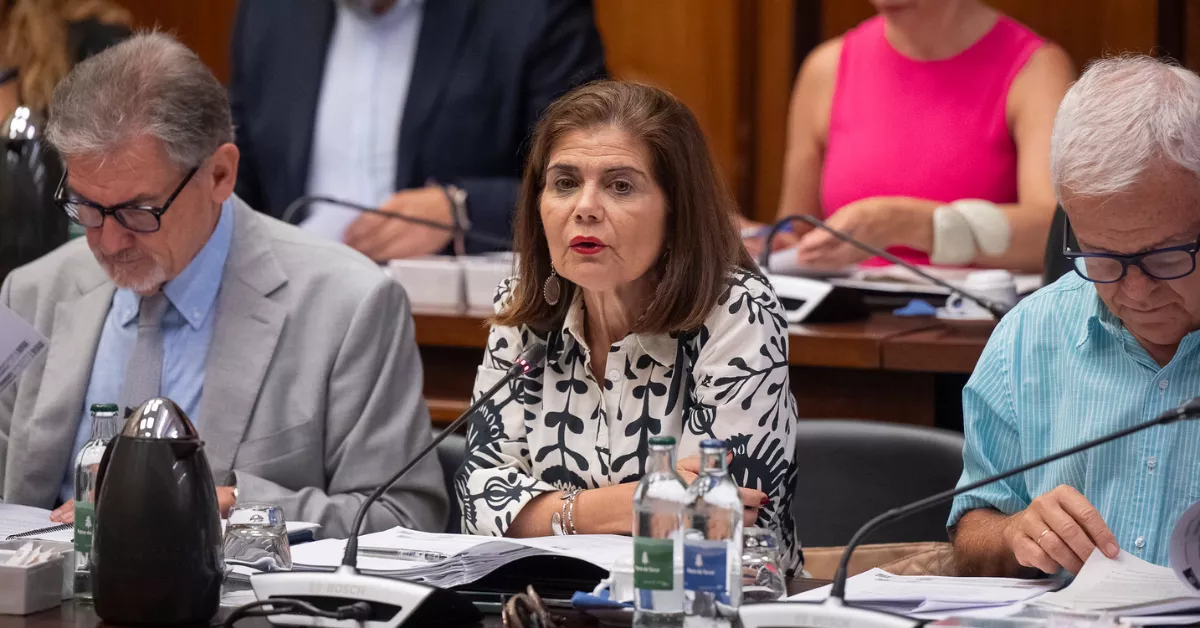 La consejera Inés Miranda / CABILDO DE GRAN CANARIA