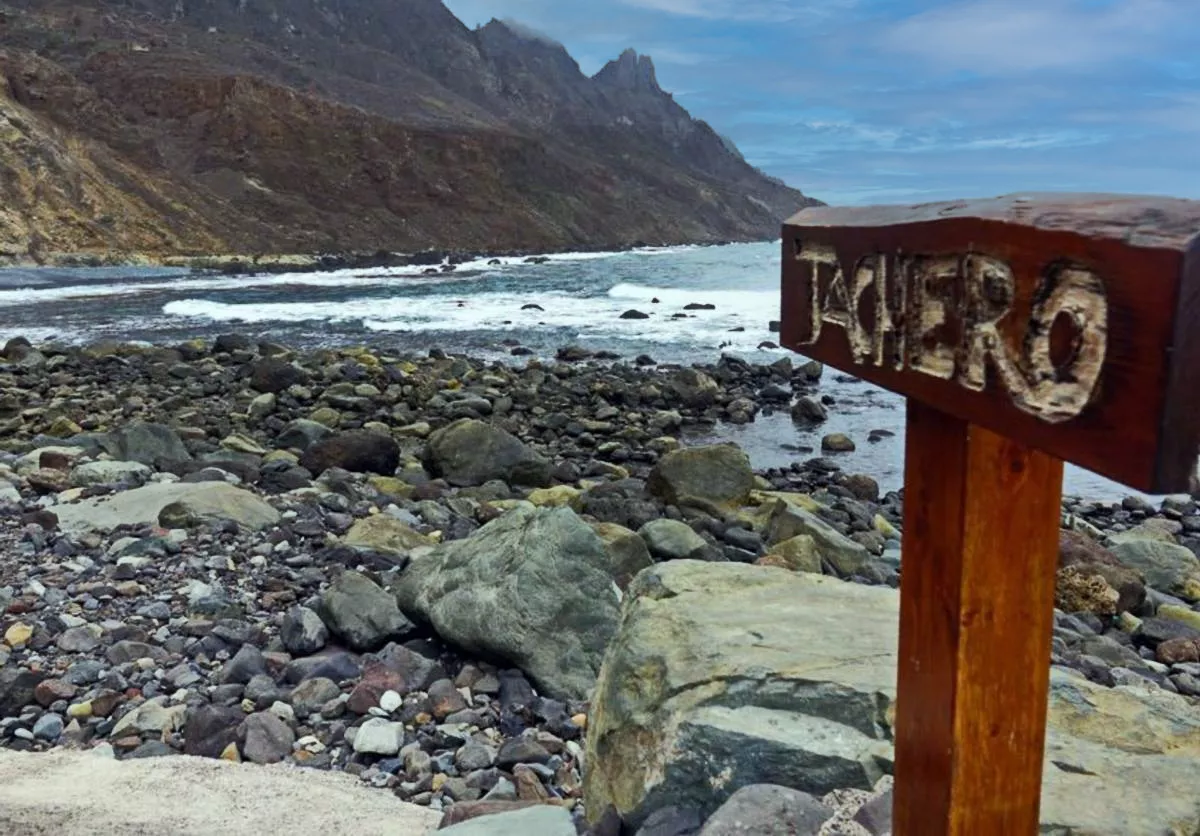 Yacimiento fósil de Tachero./