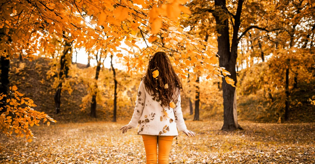 Imagen de otoño / AH