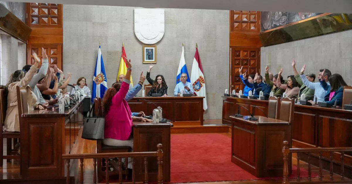 Pleno del Ayuntamiento de Granadilla de Abona / CEDIDA