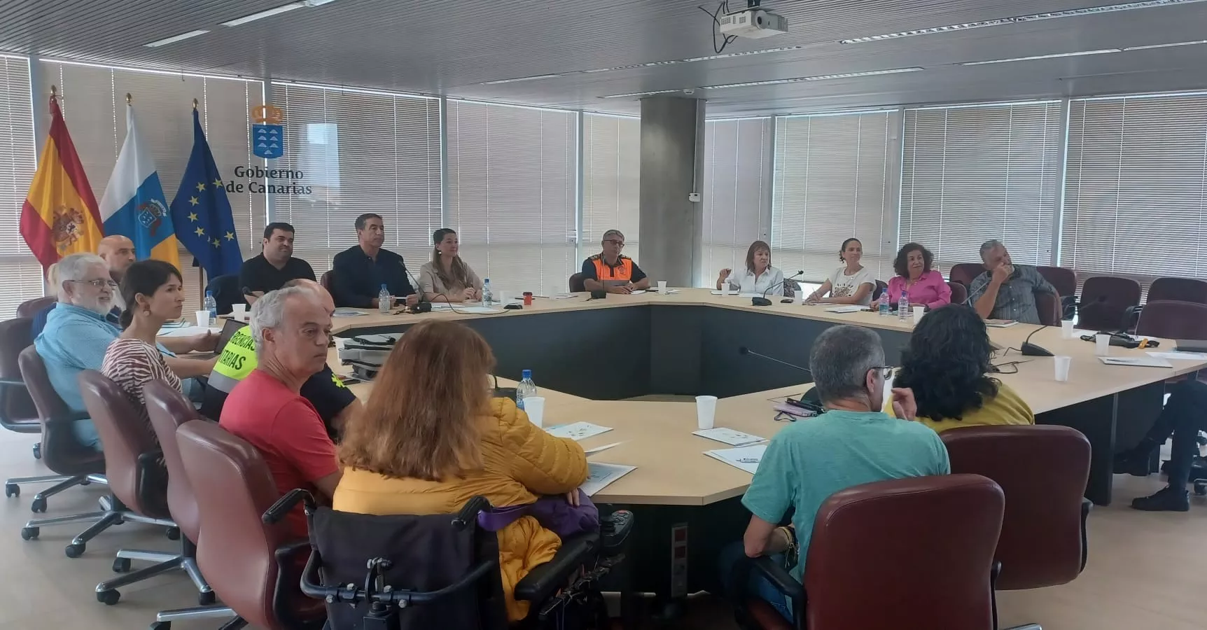 Comisión Intersectorial de Voluntariado./ CEDIDA