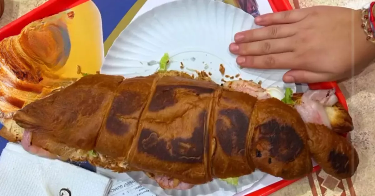 Imagen tomada de captura de pantalla del vídeo del tiktoker / REDES TIKTOK