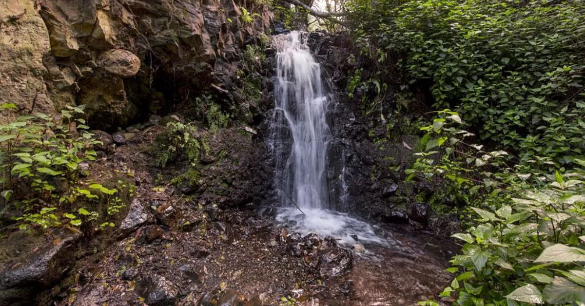 Las cascadas por las que discurre el riachuelo del barranco de Los Cernícalos son todo un reclamo para senderistas./ REDES.