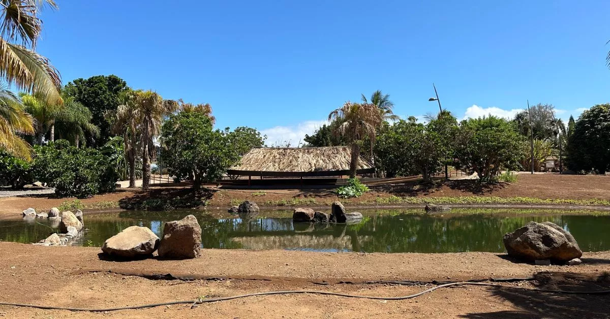 El nuevo 'hide' del Palmetum / CEDIDA