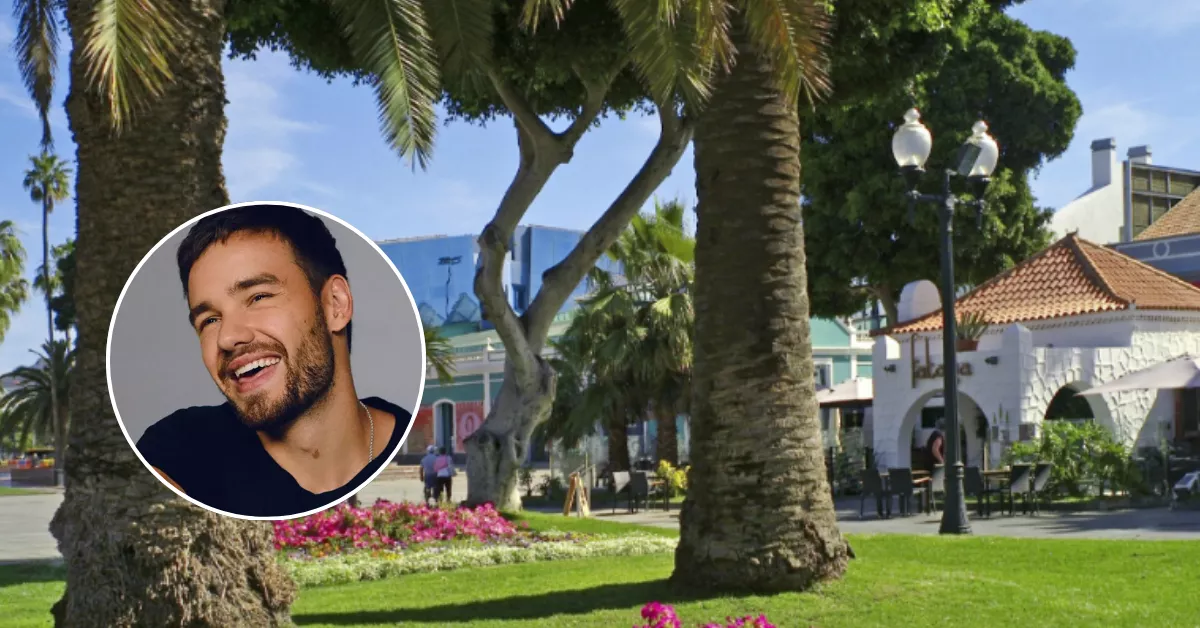 Montaje Liam Payne  / MONTAJE AH