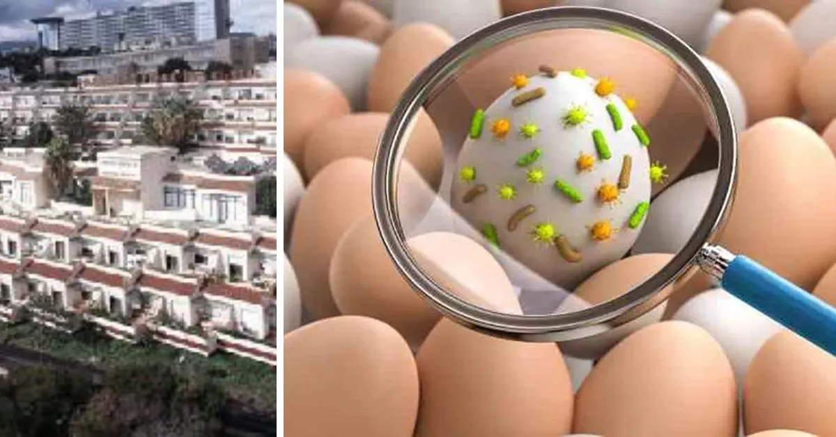 Brote de salmonelosis en la residencia de mayores de Ofra, del IASS./ MONTAJE AH